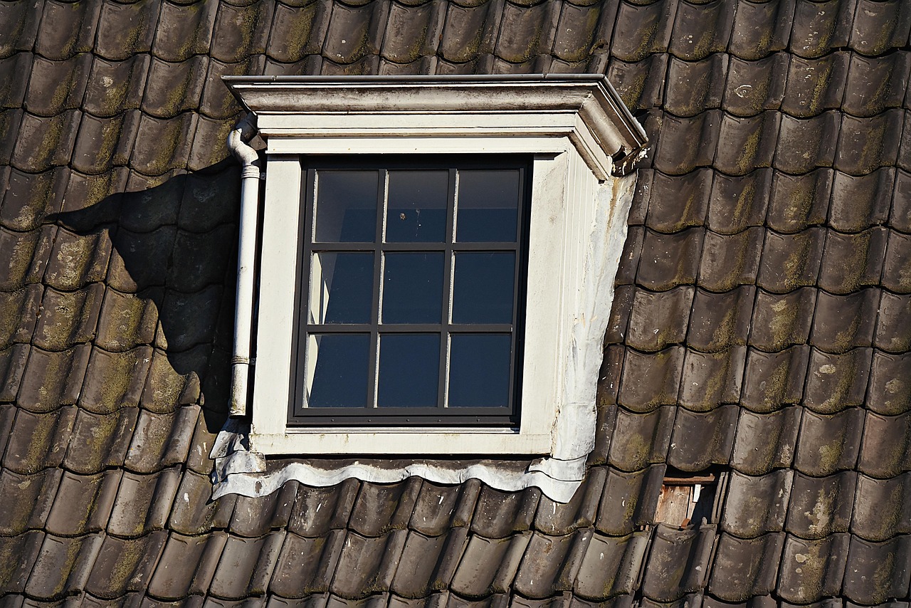 Silhouette einer Person am Fenster – Blick nach draussen, Lichteinfall ins Zimmer